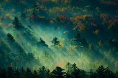 hero-sunlight-streaming-through-colorful-forest-ATCB-USE-ONLY